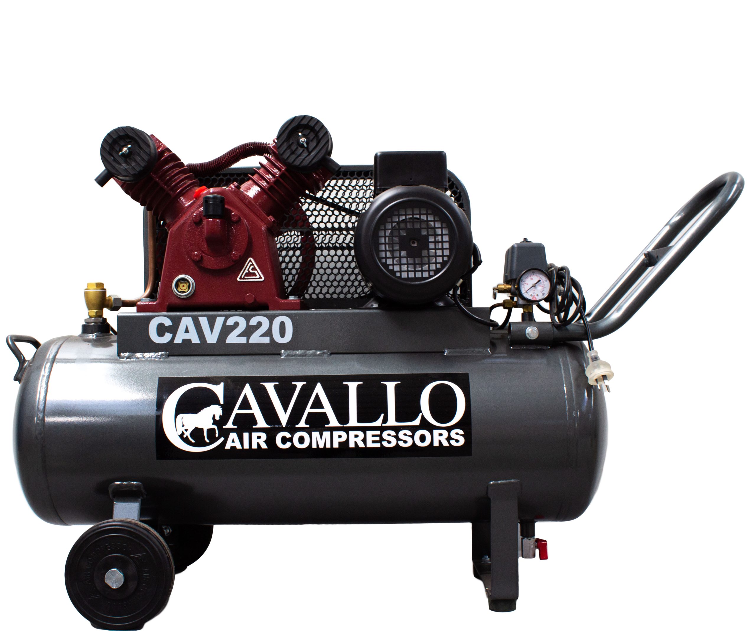 CAV220