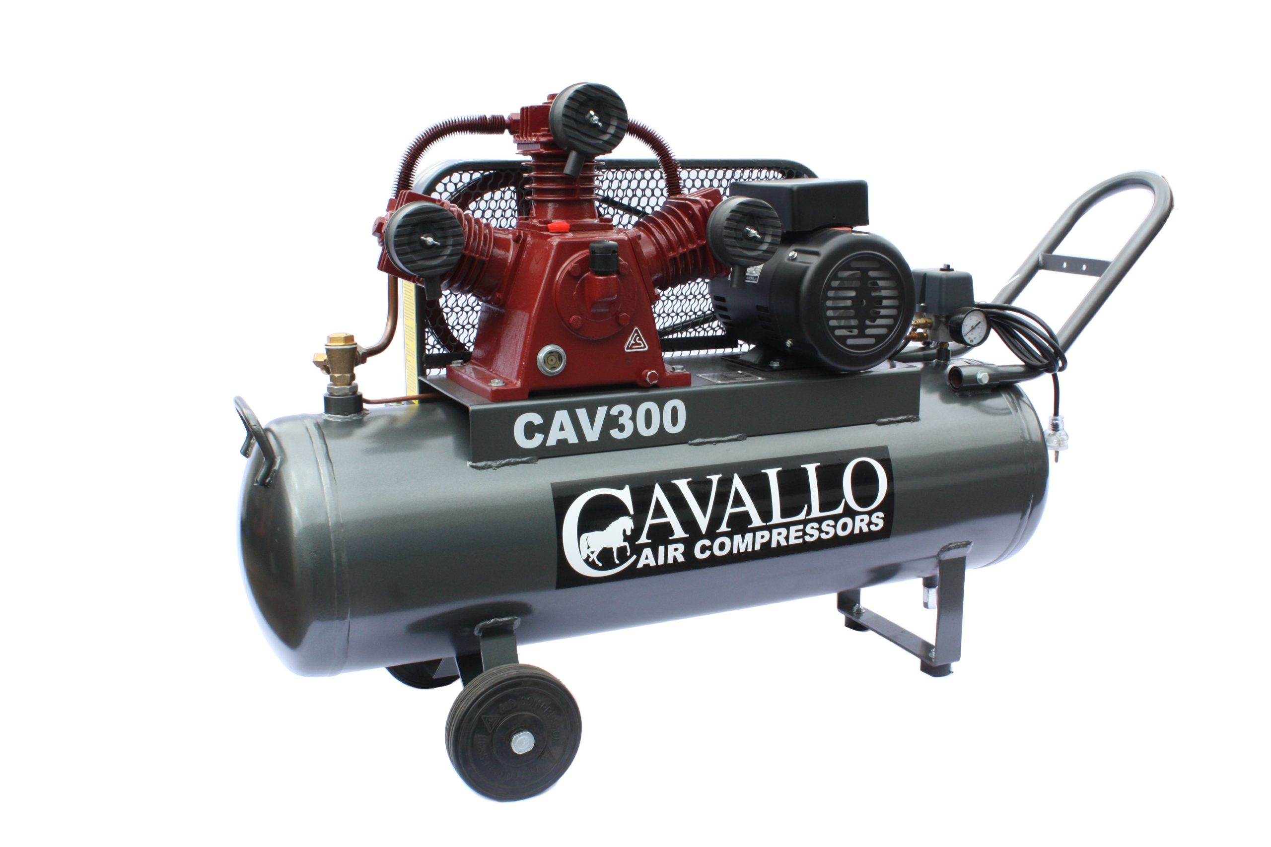 CAV300 1